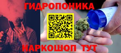 индика Ливны