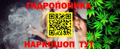 индика Ливны