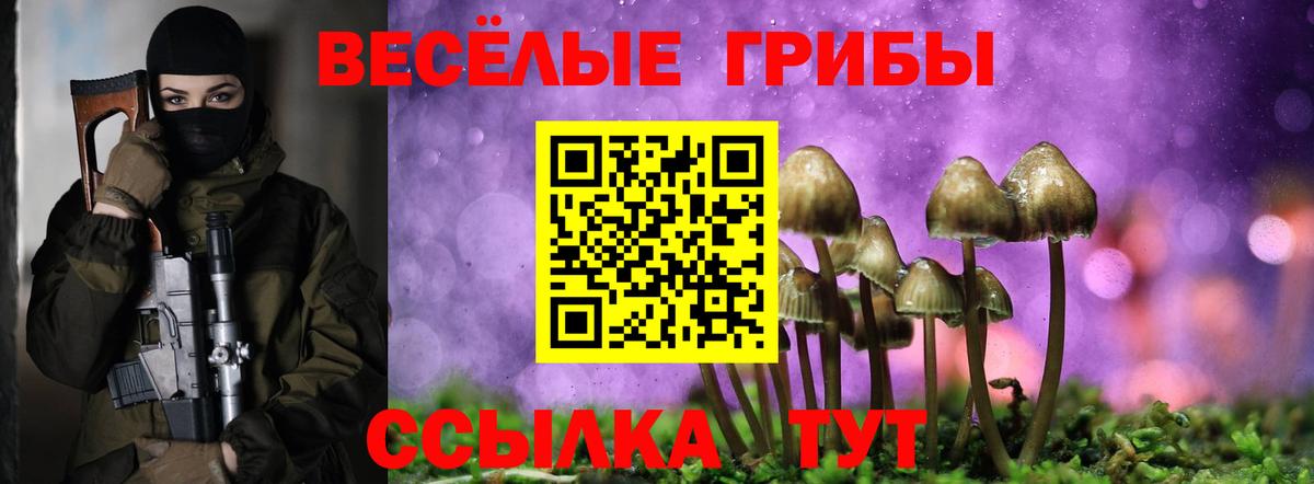 Иваново  Псилоцибиновые грибы Psilocybine cubensis  Псилоцибиновые грибы мицелий  Вход с VPN 
